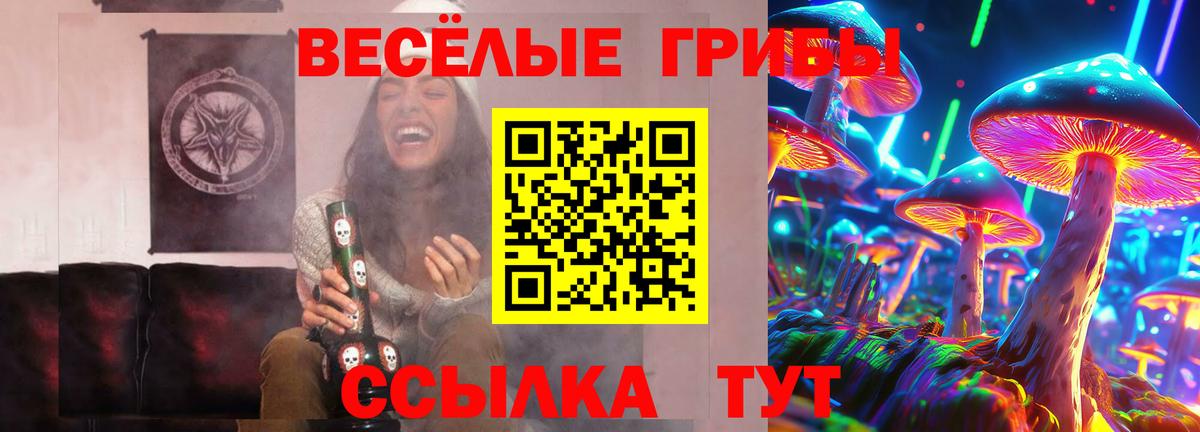 Псилоцибиновые грибы Cubensis Кондопога